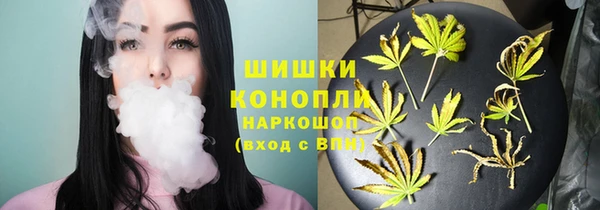 ГАЛЛЮЦИНОГЕННЫЕ ГРИБЫ Абдулино