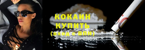 тгк Абаза