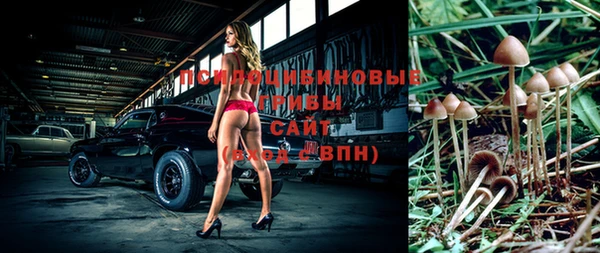 ГАЛЛЮЦИНОГЕННЫЕ ГРИБЫ Абдулино