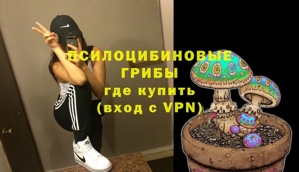 ГАЛЛЮЦИНОГЕННЫЕ ГРИБЫ Абдулино