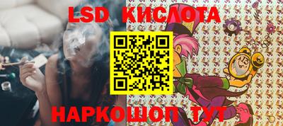 СК Бийск