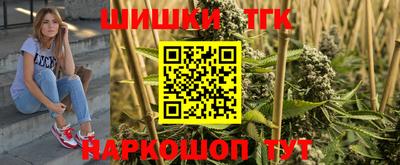 индика Заволжье