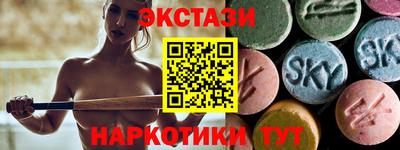 СК Бийск