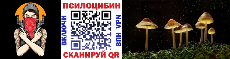 Галлюциногенные грибы прущие грибы  купить наркотики цена  hydra ссылка  Кингисепп 