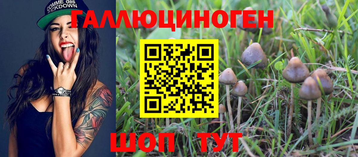 Галлюциногенные грибы ЛСД Кингисепп