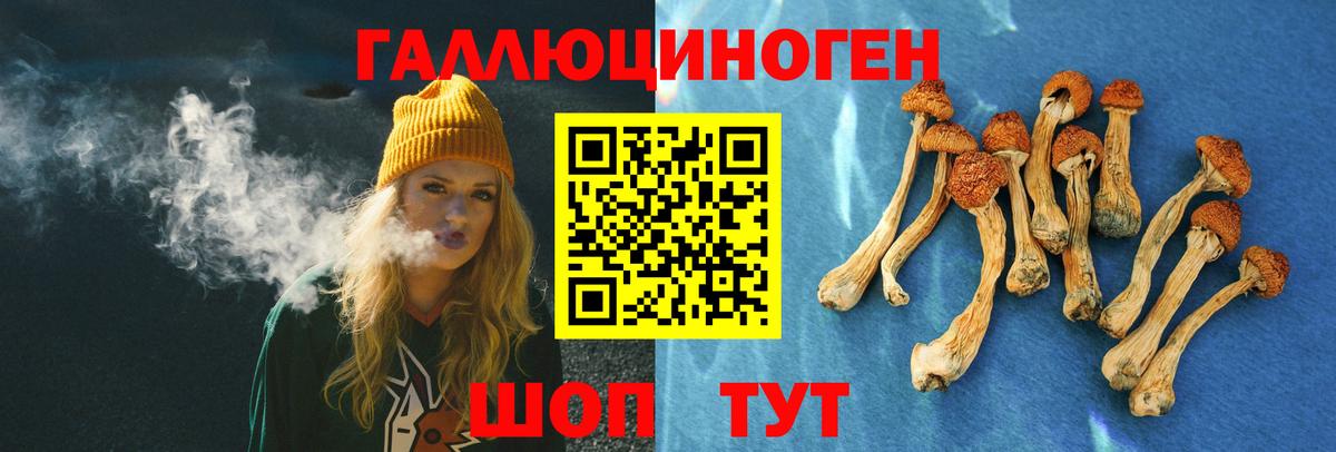 Кингисепп  Галлюциногенные грибы прущие грибы  Вход с VPN 